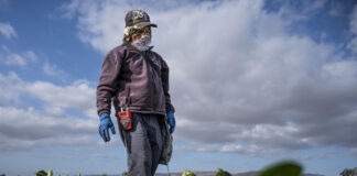 WA farmworker union bill doesn’t make it through Legislature farmworker