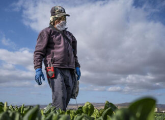 WA farmworker union bill doesn’t make it through Legislature farmworker