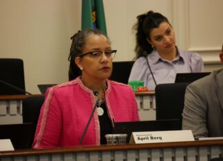 House Finance Chair April Berg, D-Mill Creek, seen during a January committee hearing, has introduced a rewrite of Democrats' income tax bill