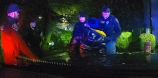 Kent Police Arrest 8 in Major Shoplifting Crackdown Across Multiple Cities Kent Police Arrest 8 in Major Shoplifting Crackdown