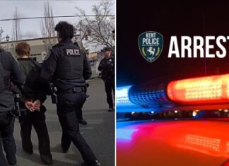 Kent Police Arrest Bothell Rape Suspect Following BOLO Alert Arrest Bothell Rape Suspect