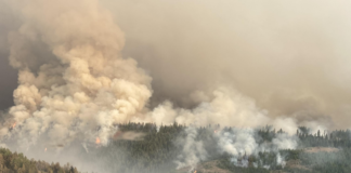 The Retreat fire near Naches, Wash. in August 2024.