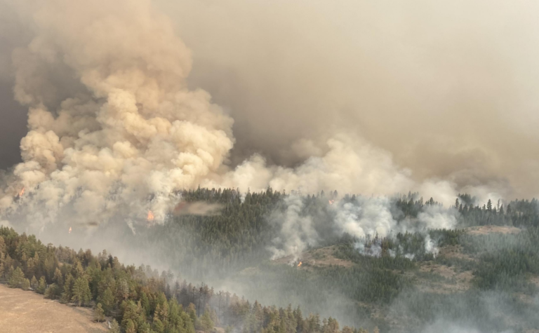 The Retreat fire near Naches, Wash. in August 2024.