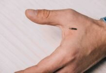 Businesses can’t require microchip implants for workers under new WA law cropped view of male hand with microchip on table