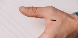 cropped view of male hand with microchip on table