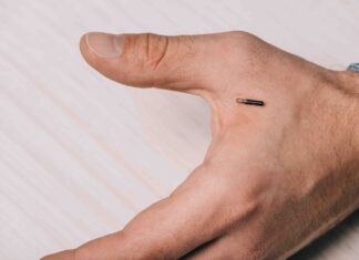 Businesses can’t require microchip implants for workers under new WA law cropped view of male hand with microchip on table