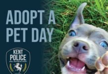 Kent Police Promote Pet Adoption and Honor Animal Control Heroes During Appreciation Week Pet Adoption