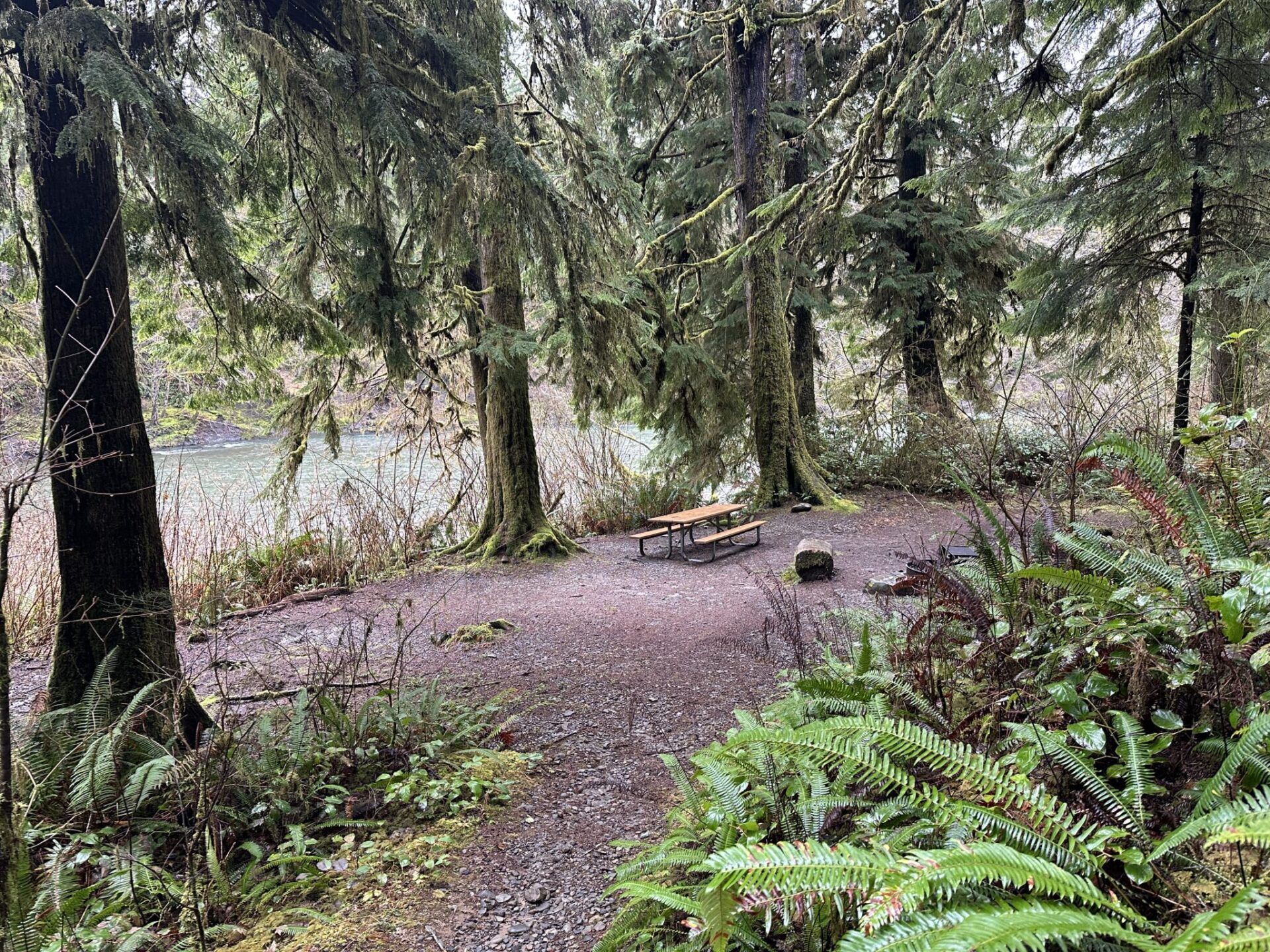 The Lyre River Campground in Port Angeles will close from September until April next year. It’s one of 11 campgrounds affected by state funding cuts to the Department of Natural Resources
