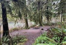 The Lyre River Campground in Port Angeles will close from September until April next year. It’s one of 11 campgrounds affected by state funding cuts to the Department of Natural Resources