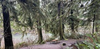 The Lyre River Campground in Port Angeles will close from September until April next year. It’s one of 11 campgrounds affected by state funding cuts to the Department of Natural Resources