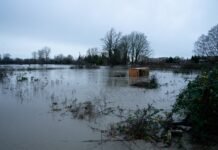 Trump approves disaster declaration for WA flooding Debris floats down the Nooksack River in Ferndale, in the flooded area around Hovander Homestead Park.