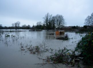 Debris floats down the Nooksack River in Ferndale, in the flooded area around Hovander Homestead Park.