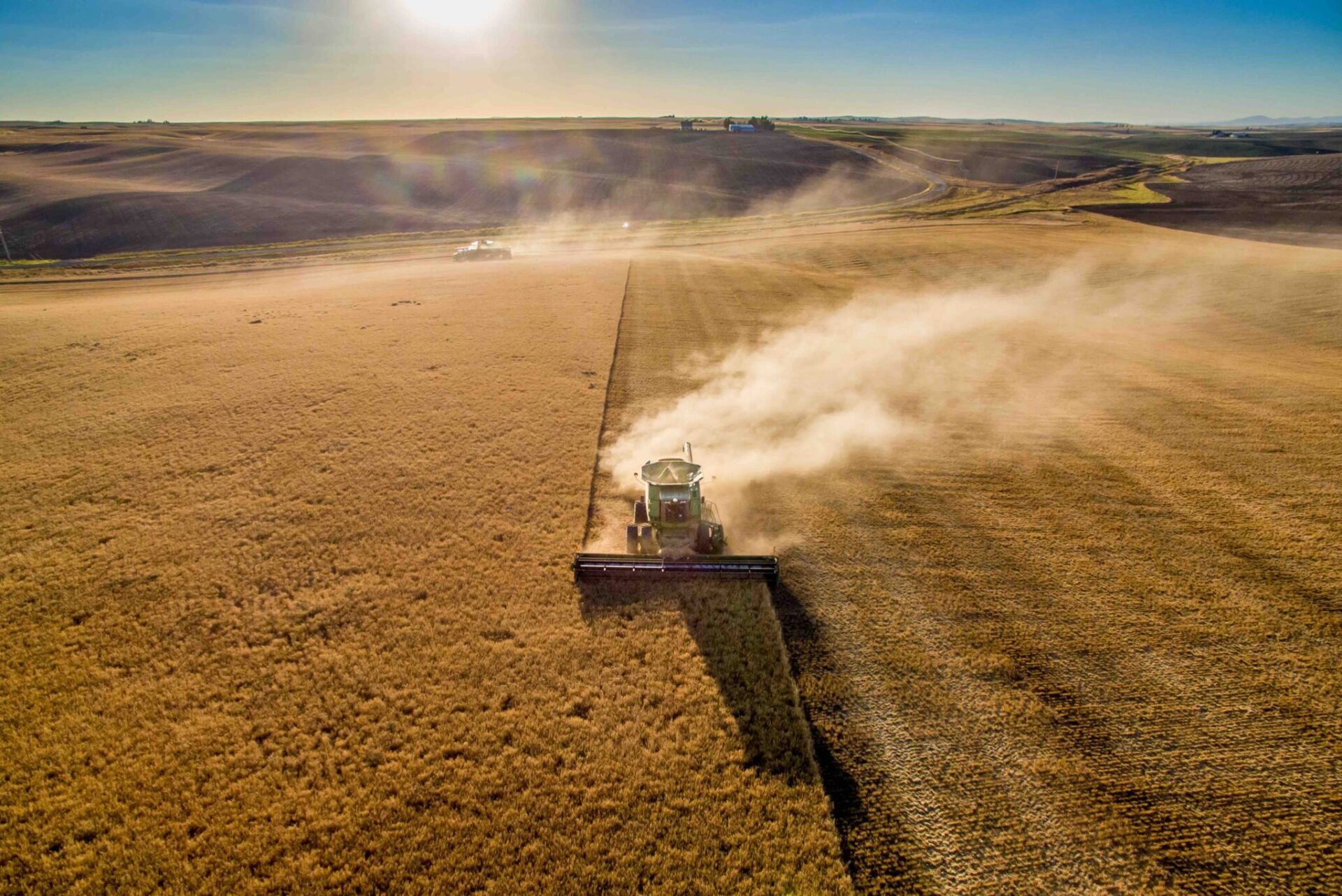 Dust rising from combine during barley harvest in Reardan, Washington