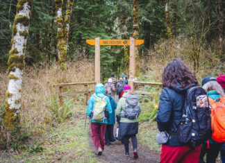 Fundraising effort saves patch of state-managed forest in western WA from logging embers of the Elwha Legacy Forests Coalition walk on a trail near the state-managed Sadie Creek Campground near the Northern Olympic Coast.