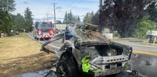 Deaths on Washington roads drop again A wrecked vehicle in Thurston County after it collided with a power pole, splitting the car in half on June 23, 2025. The driver was treated for minor injuries and was booked for DUI. The vehicle’s speedometer was stuck at 100 mph, according to the Thurston County Sheriff’s Office