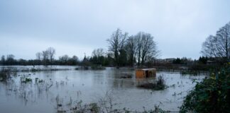 Debris floats down the Nooksack River in Ferndale, in the flooded area around Hovander Homestead Park.