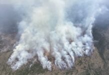 The Ptarmigan Fire burning in Washington’s Pasayten Wilderness, as seen in this aerial photo taken by smokejumpers July 20, has crossed the Canadian border and burned at least 18,000 acres so far. State leaders in Oregon and Washington have called for reinforcements and expect a grueling August. (Photo courtesy of U.S. Forest Service)