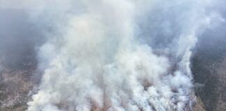As fires rage in the Pacific Northwest, leaders call all hands on deck The Ptarmigan Fire burning in Washington’s Pasayten Wilderness, as seen in this aerial photo taken by smokejumpers July 20, has crossed the Canadian border and burned at least 18,000 acres so far. State leaders in Oregon and Washington have called for reinforcements and expect a grueling August. (Photo courtesy of U.S. Forest Service)