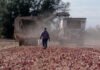 Farmworker wage complaints in WA caught in state agency backlog, report finds Agriculture