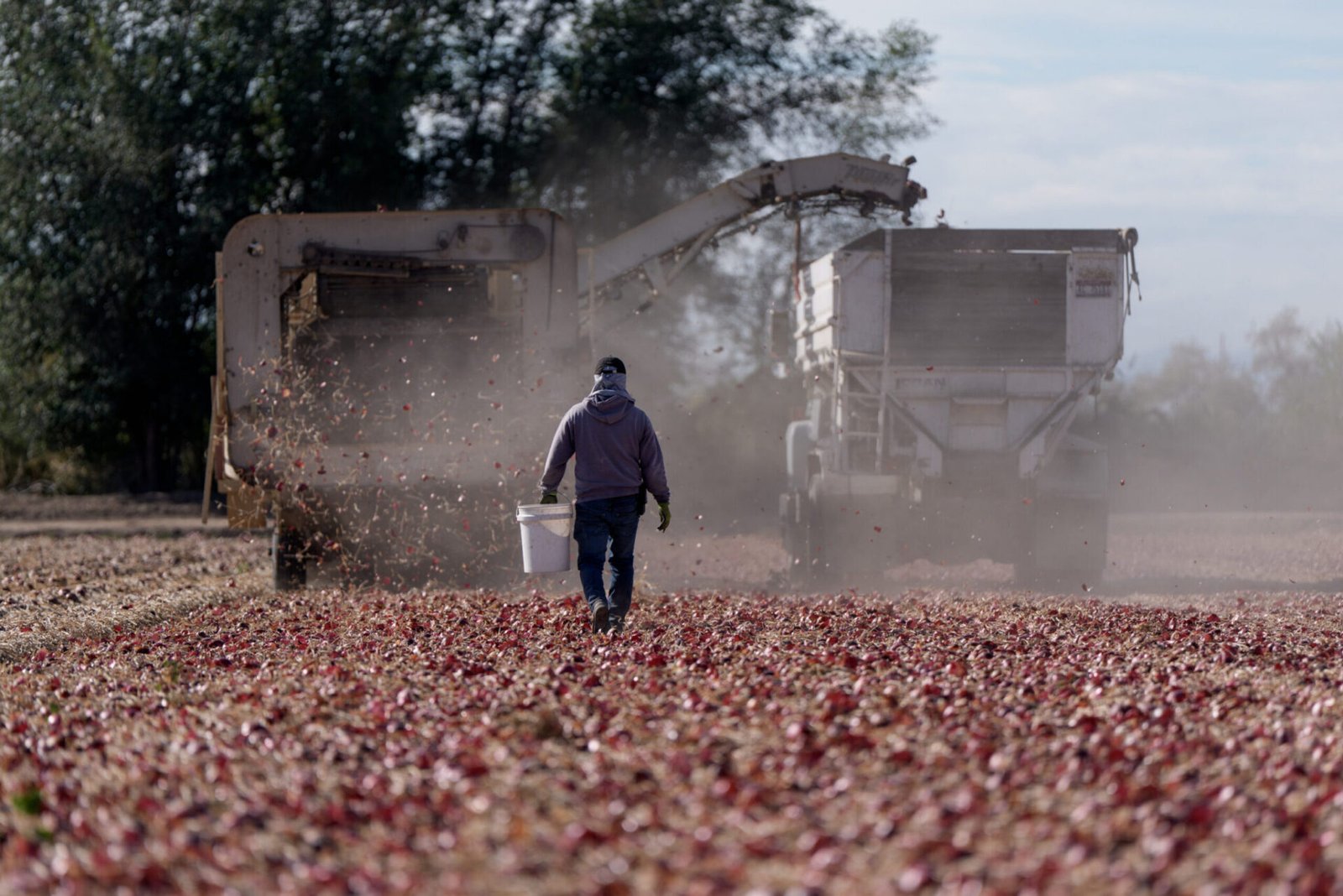 Agriculture