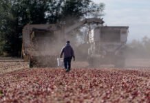 Agriculture