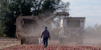 Farmworker wage complaints in WA caught in state agency backlog, report finds Agriculture