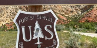 A sign for a camp site managed by the U.S. Forest Service in the Ashley National Forest is pictured on July 19, 2026. (McKenzie Romero/Utah News Dispatch)