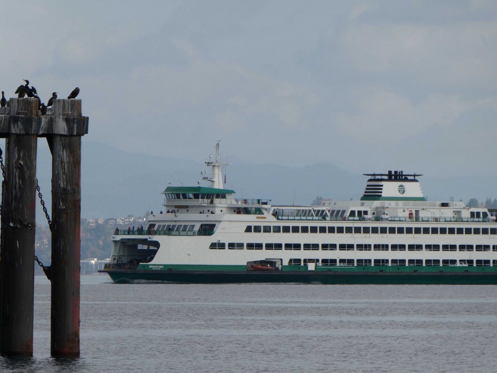 Washington State Ferries’ Wenatchee approaches the Bainbridge Island terminal in fall 2025. (Photo by Tom Banse)
