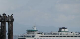 Washington State Ferries’ Wenatchee approaches the Bainbridge Island terminal in fall 2025. (Photo by Tom Banse)